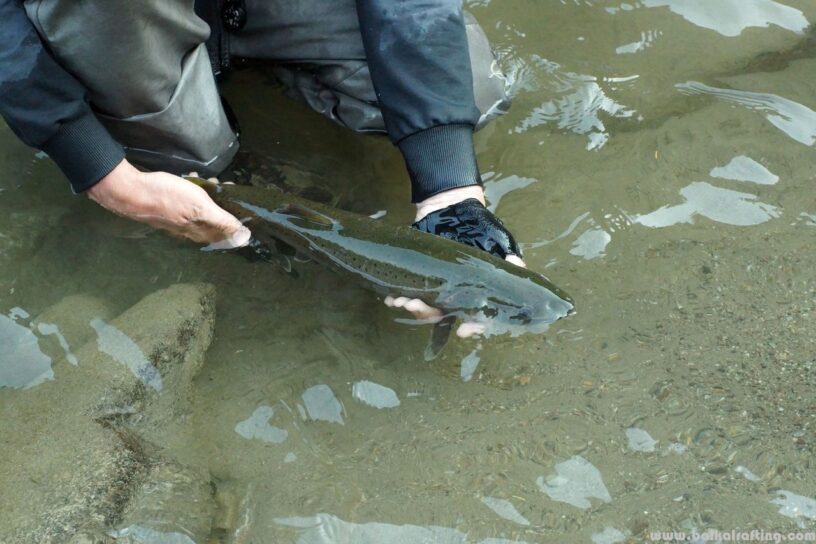 Рыбалка реки Иркутской области